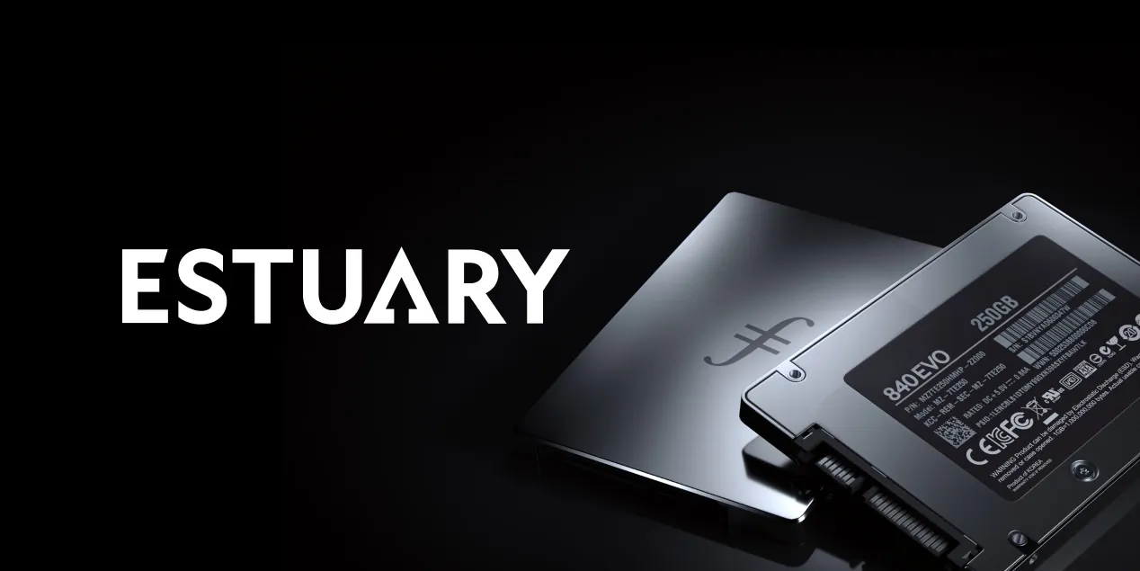 Taking a Look at Estuary