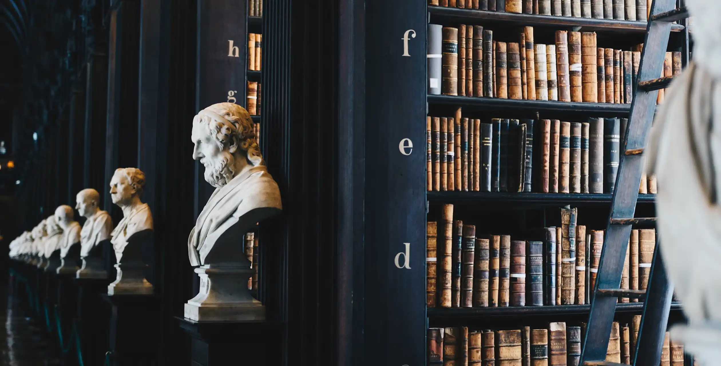 Marble busts lined up beside tall bookshelves in a historic library